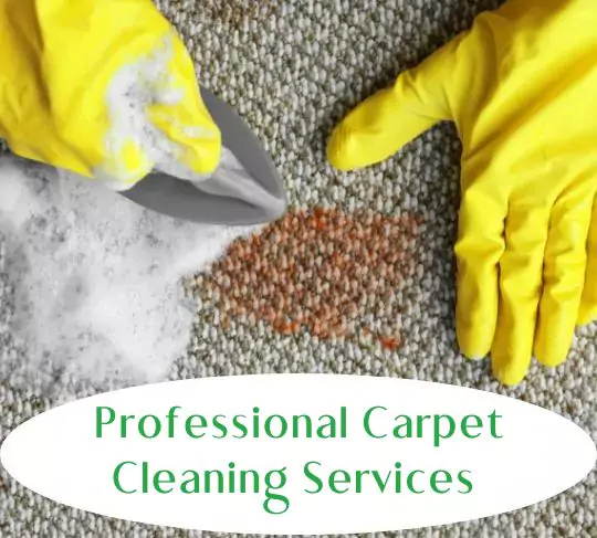 Carpet Cleaning Services